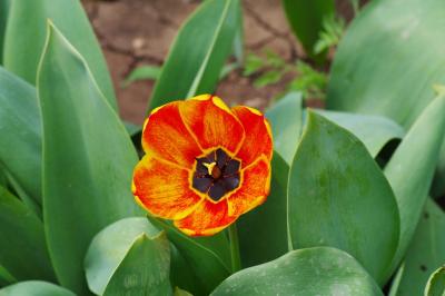 Прикрепленное изображение: LUKA6442.jpg